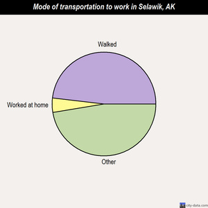 Selawik mode of transportation to work chart