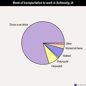 Schleswig mode of transportation to work chart