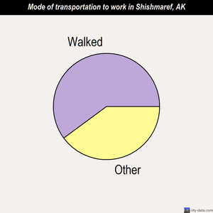Shishmaref mode of transportation to work chart