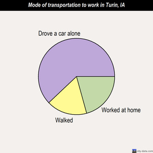 Turin mode of transportation to work chart