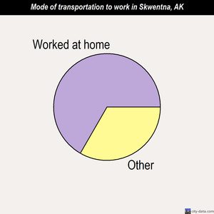 Skwentna mode of transportation to work chart