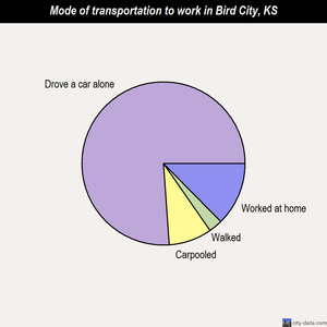 Bird City mode of transportation to work chart