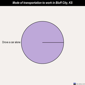Bluff City mode of transportation to work chart