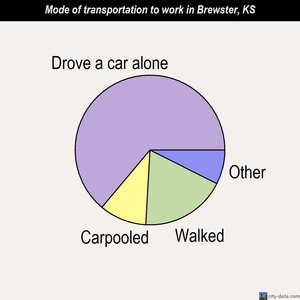 Brewster mode of transportation to work chart