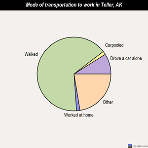 Teller mode of transportation to work chart