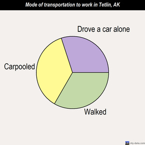 Tetlin mode of transportation to work chart