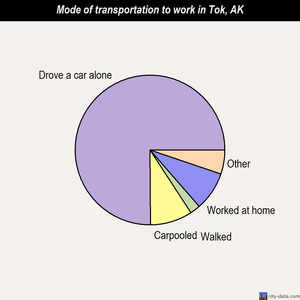 Tok mode of transportation to work chart