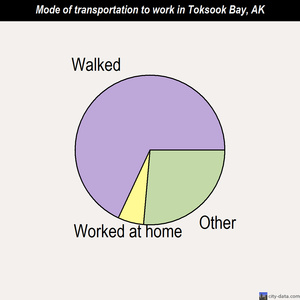 Toksook Bay mode of transportation to work chart