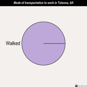 Tolsona mode of transportation to work chart