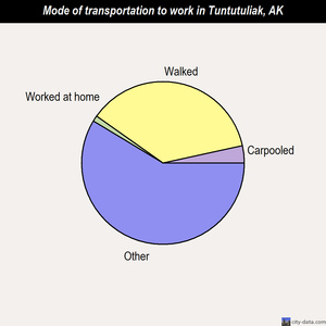 Tuntutuliak mode of transportation to work chart