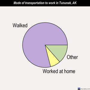 Tununak mode of transportation to work chart