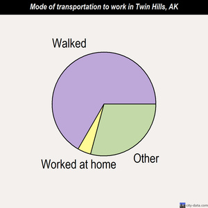 Twin Hills mode of transportation to work chart