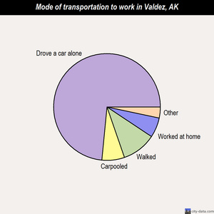 Valdez mode of transportation to work chart