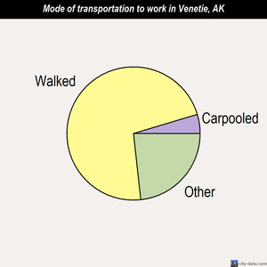 Venetie mode of transportation to work chart