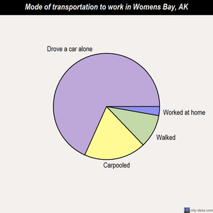 Womens Bay mode of transportation to work chart
