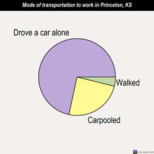 Princeton mode of transportation to work chart