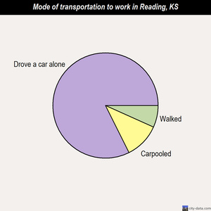 Reading mode of transportation to work chart