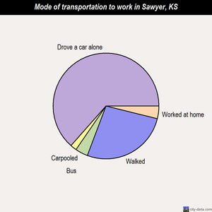 Sawyer mode of transportation to work chart
