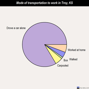 Troy mode of transportation to work chart