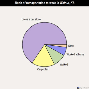 Walnut mode of transportation to work chart