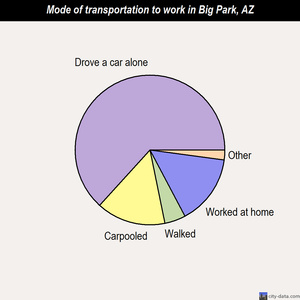 Big Park mode of transportation to work chart