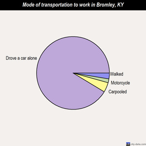 Bromley mode of transportation to work chart