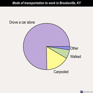 Brooksville mode of transportation to work chart