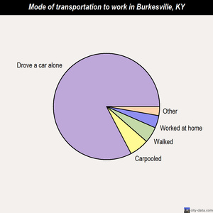 Burkesville mode of transportation to work chart