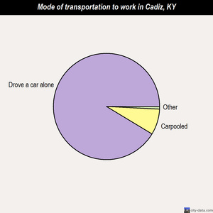 Cadiz mode of transportation to work chart