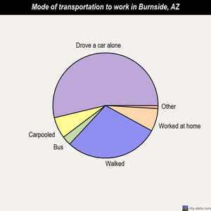 Burnside mode of transportation to work chart