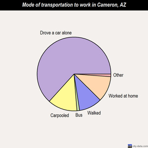 Cameron mode of transportation to work chart