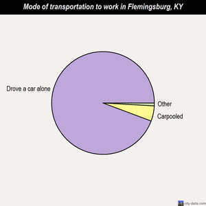 Flemingsburg mode of transportation to work chart