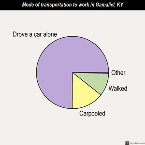 Gamaliel mode of transportation to work chart