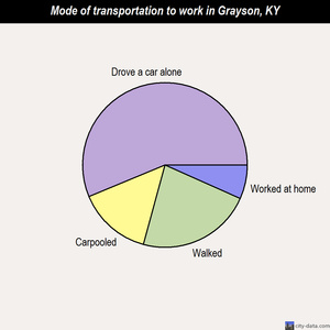 Grayson mode of transportation to work chart
