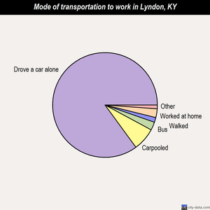 Lyndon mode of transportation to work chart