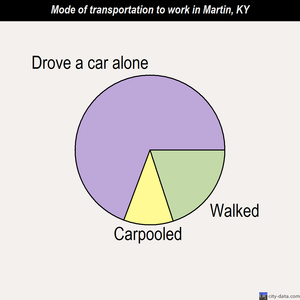 Martin mode of transportation to work chart