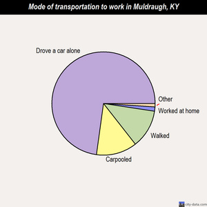 Muldraugh mode of transportation to work chart