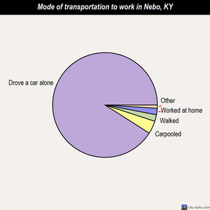 Nebo mode of transportation to work chart