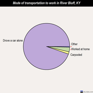 River Bluff mode of transportation to work chart
