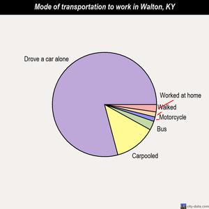 Walton mode of transportation to work chart
