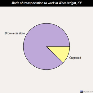 Wheelwright mode of transportation to work chart