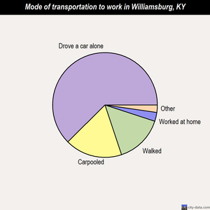 Williamsburg mode of transportation to work chart
