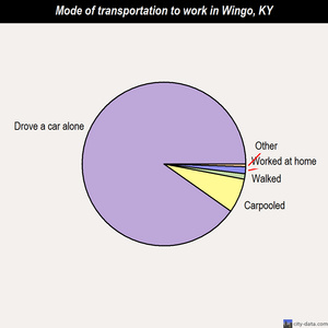 Wingo mode of transportation to work chart