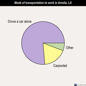 Amelia mode of transportation to work chart