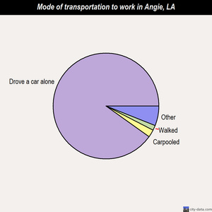 Angie mode of transportation to work chart