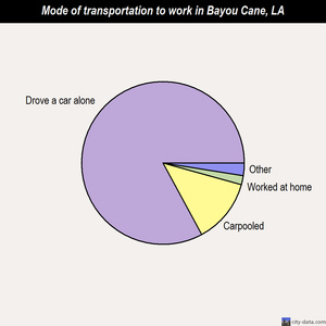 Bayou Cane mode of transportation to work chart