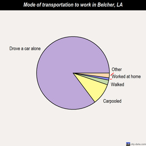 Belcher mode of transportation to work chart