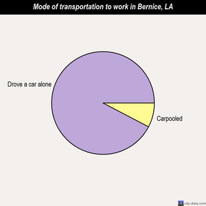 Bernice mode of transportation to work chart