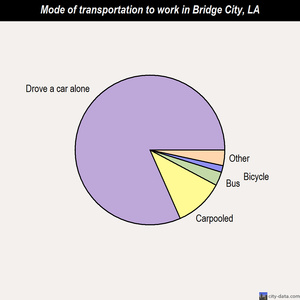 Bridge City mode of transportation to work chart