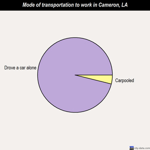 Cameron mode of transportation to work chart